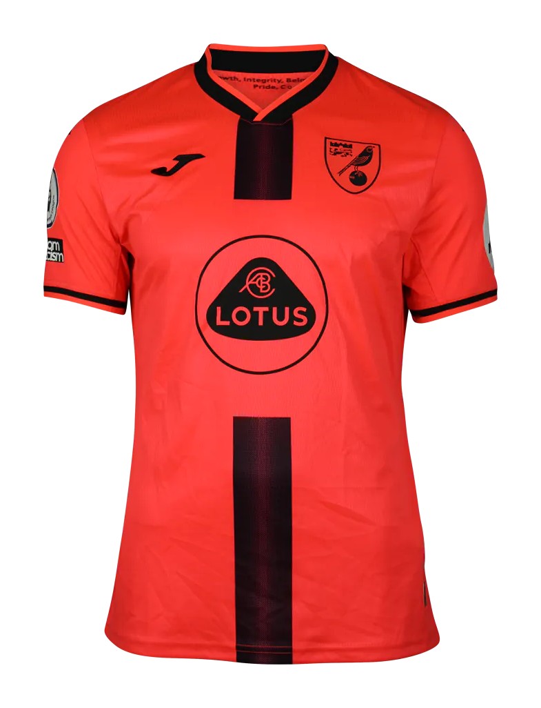 Norwich City 2021-22 Third Kit