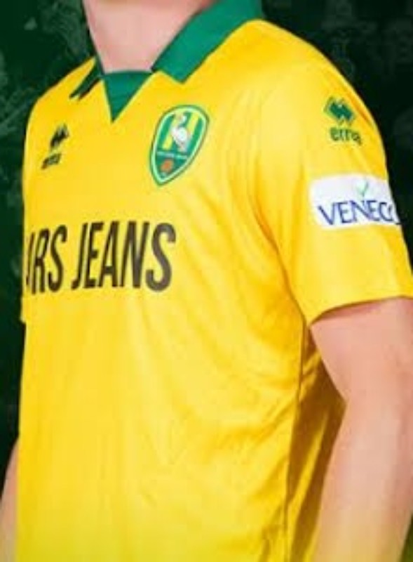 ADO Den Haag 2017-18 Third Kit