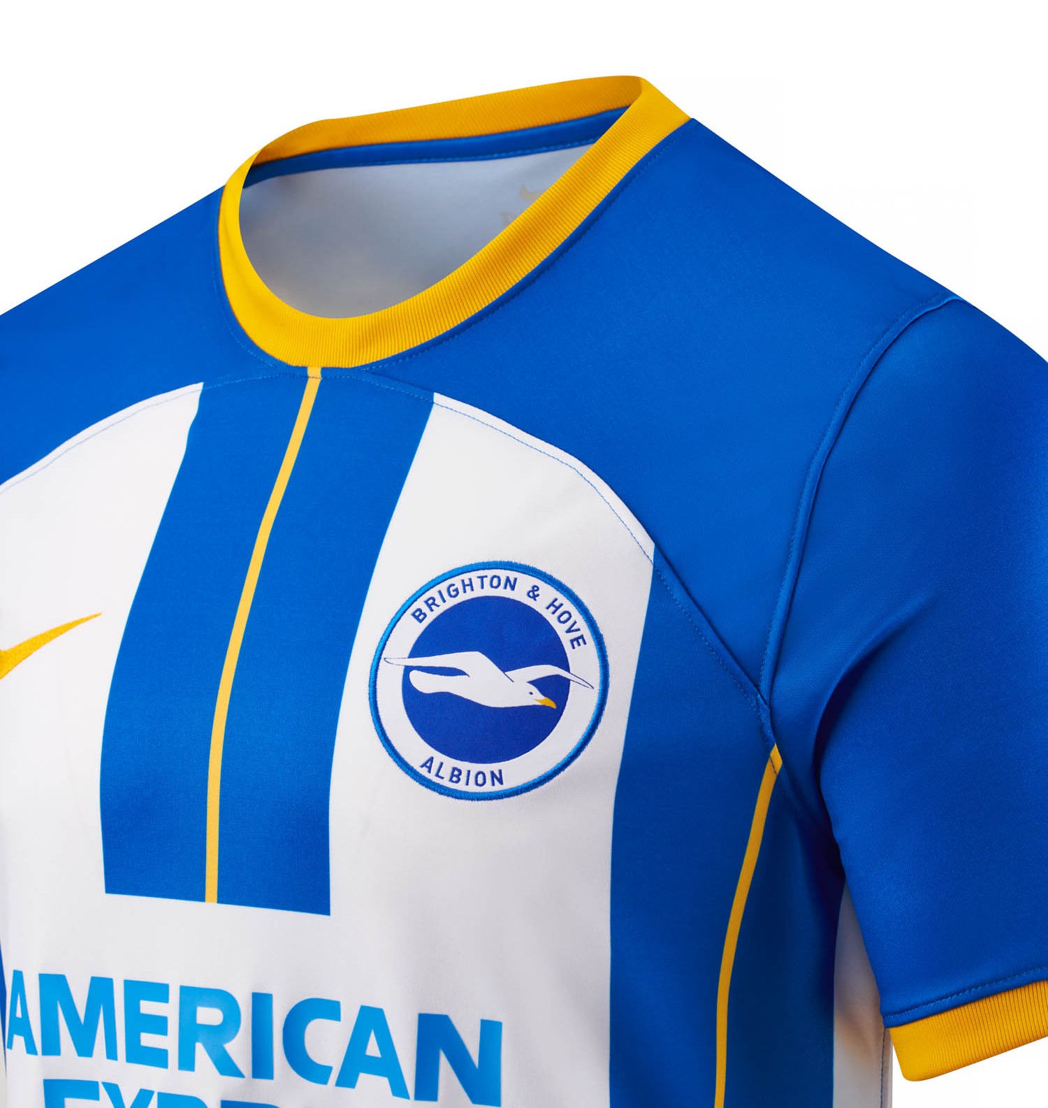 Brighton & Hove Albion 2022-23 Home Kit