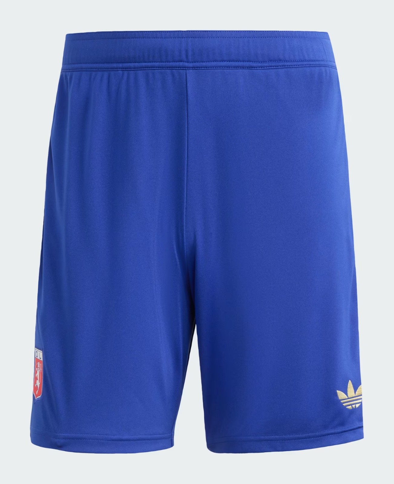 Olympique Lyonnais 2024-25 Anniversary Kit