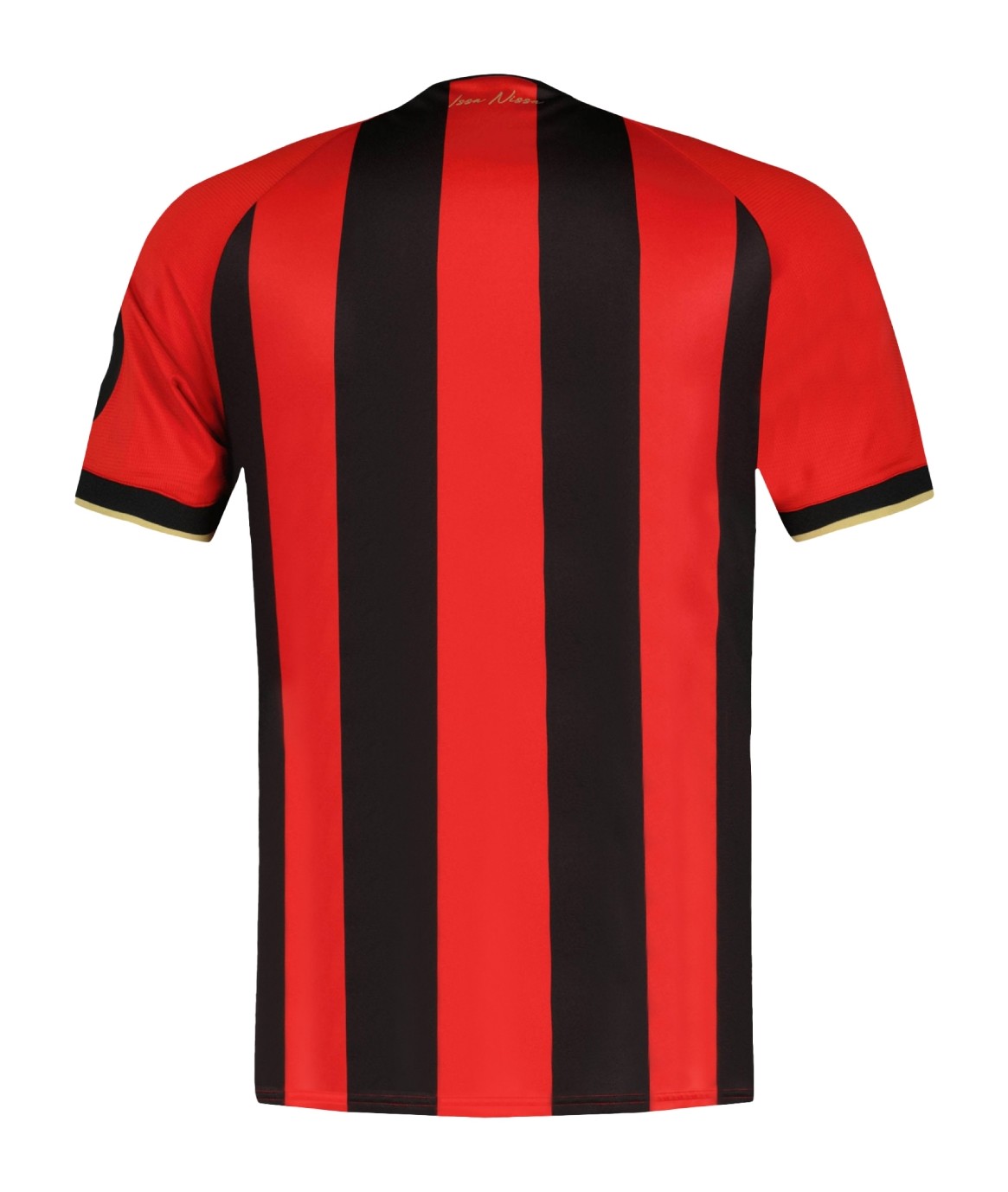 Nice 2024-25 Home Kit