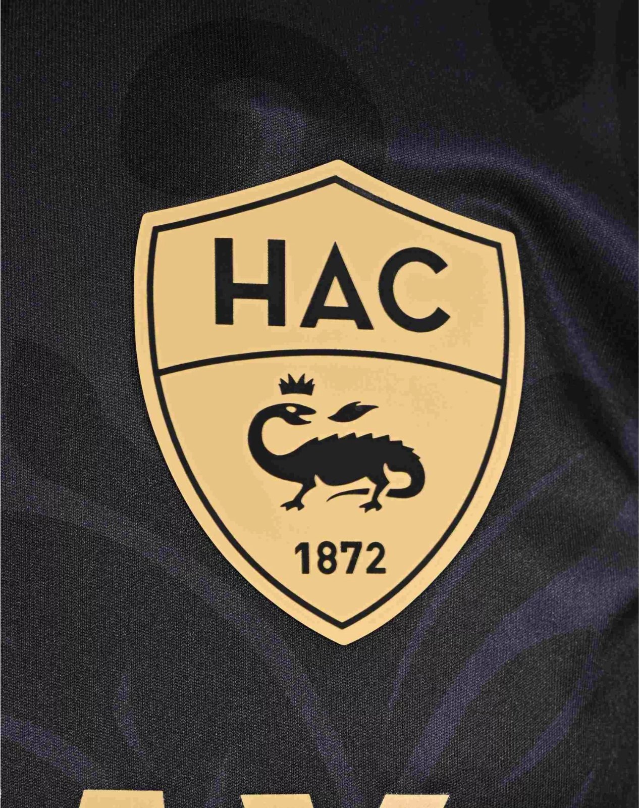 Le Havre 2024-25 Third Kit