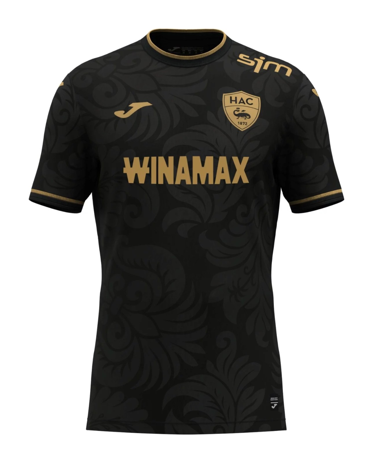 Le Havre 2024-25 Third Kit