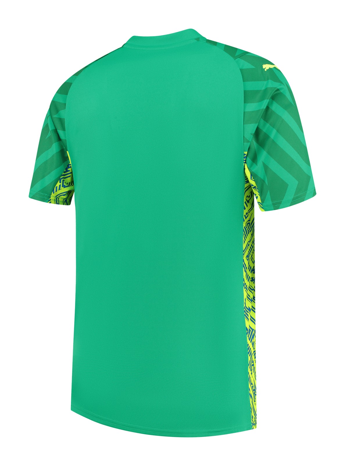 Manchester City 2023-24 GK 1 Kit