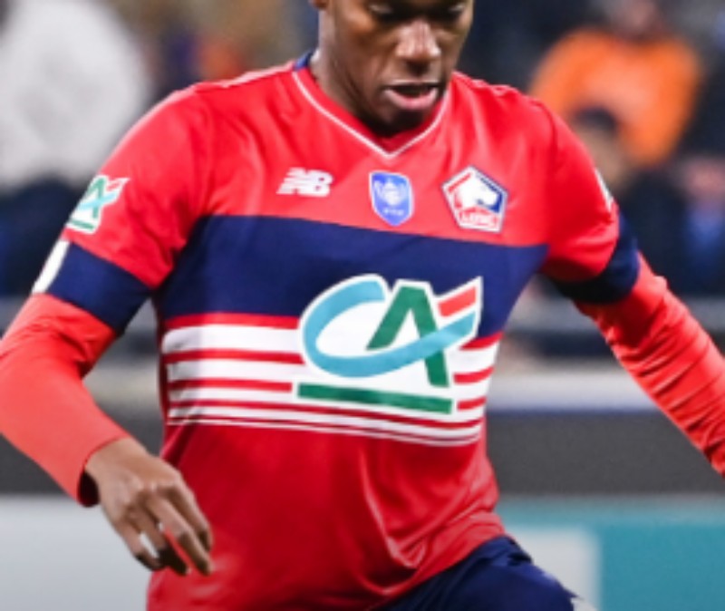 Lille LOSC 2022-23 Coupe de France Home Kit