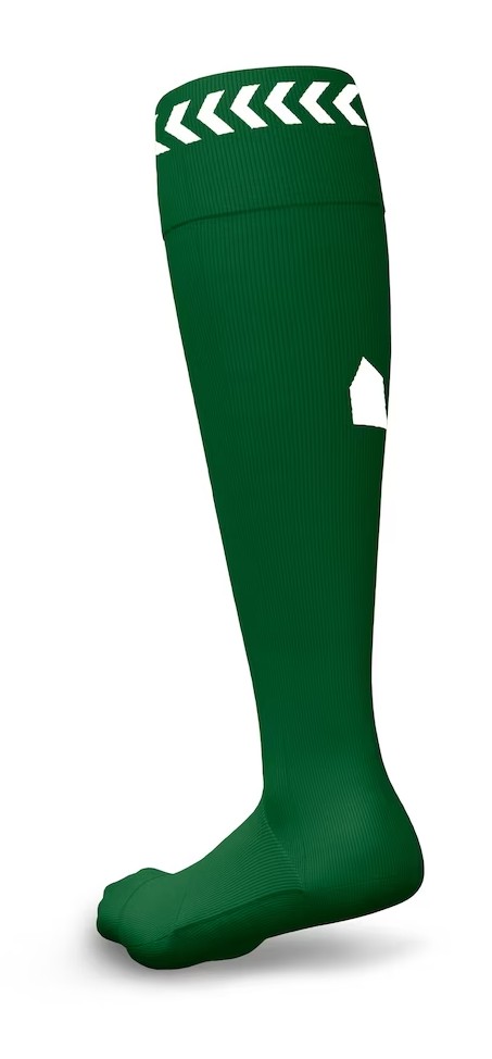 Everton FC 2023-24 GK Home Kit