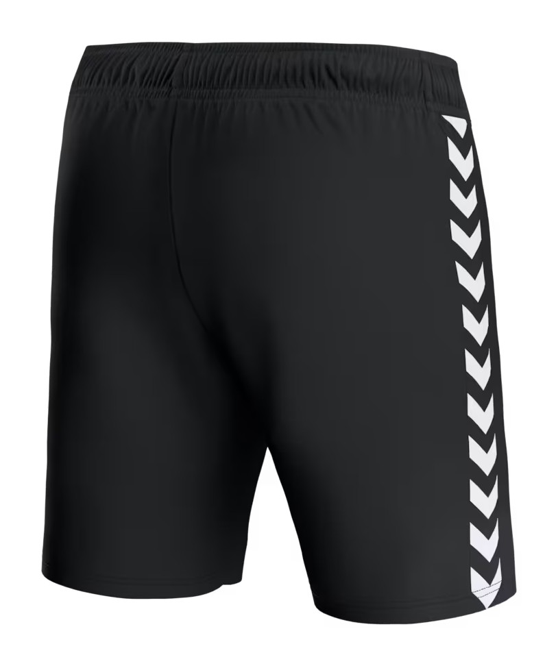 Everton FC 2023-24 GK Away Kit