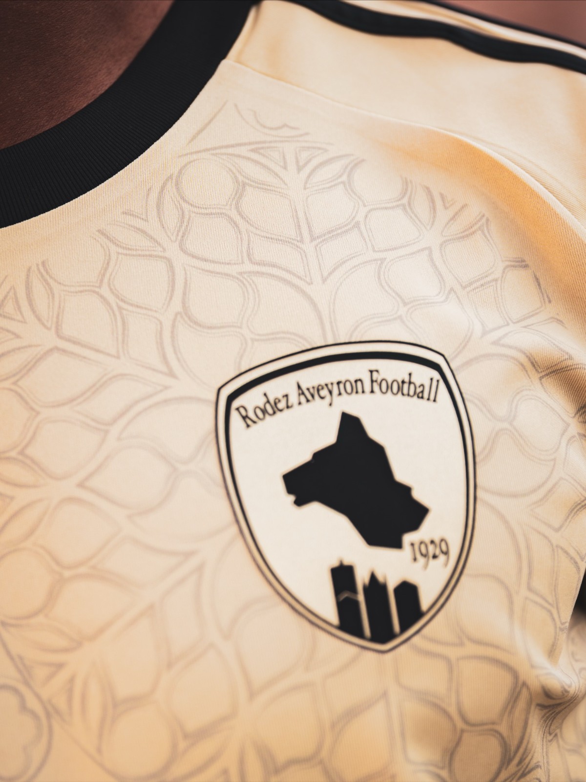 Rodez AF 2025-26 Third Kit