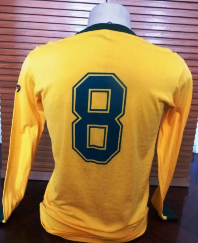 Brazil 1983 Home Kit