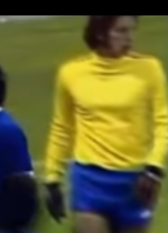 Brazil 1974 GK 2 Kit