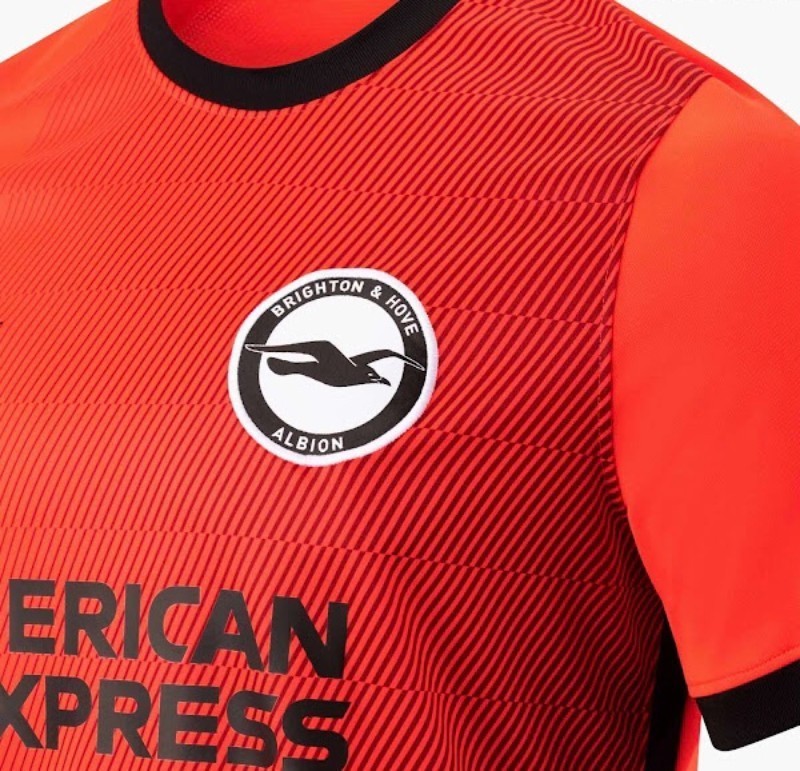 Brighton & Hove Albion 2023-24 Third Kit