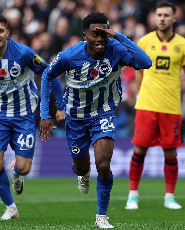 Brighton & Hove Albion 2023-24 Home V2 Kit