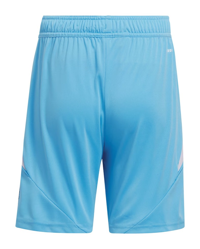 Aston Villa 2024-25 GK 3 Kit