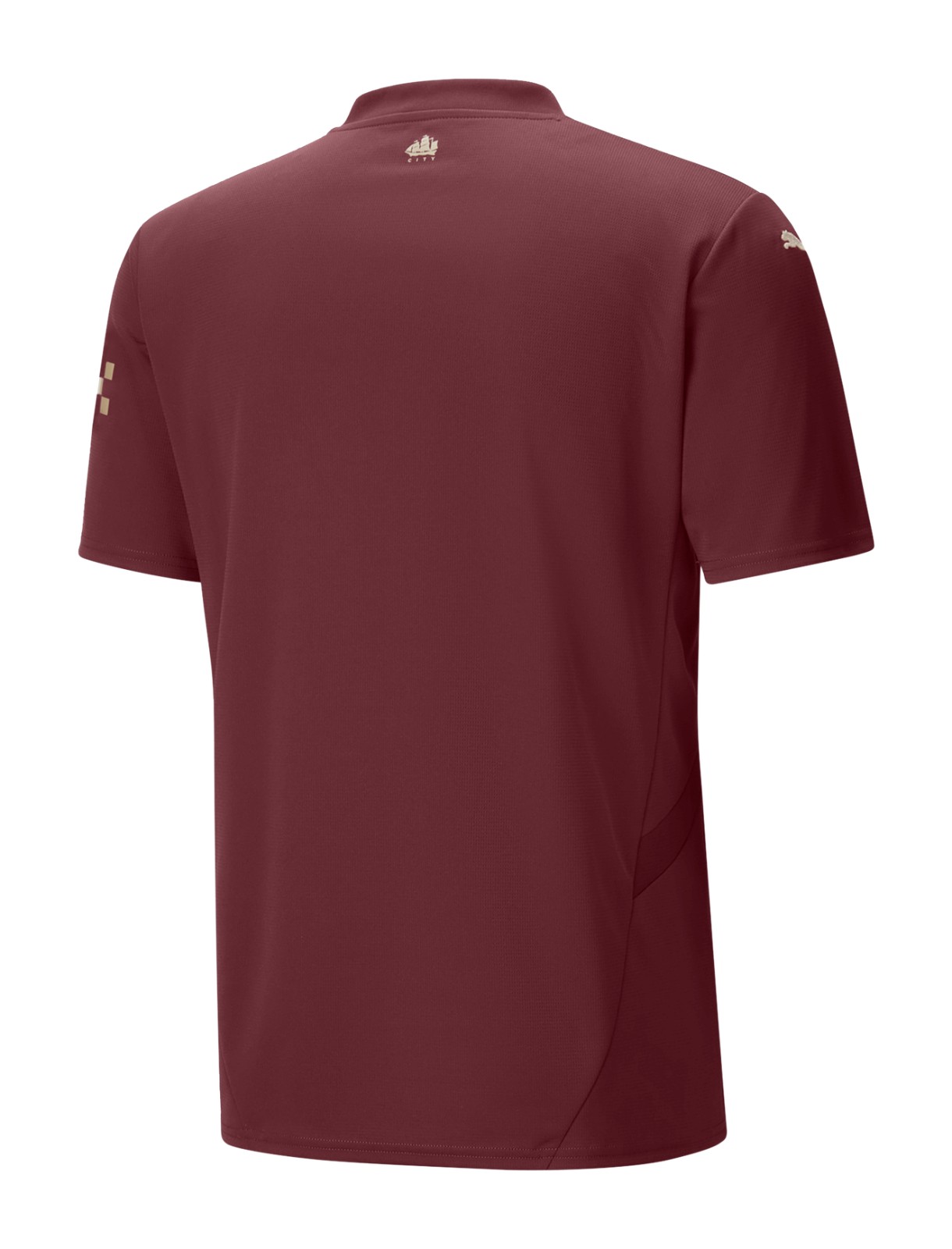 Manchester City 2024-25 Third Kit