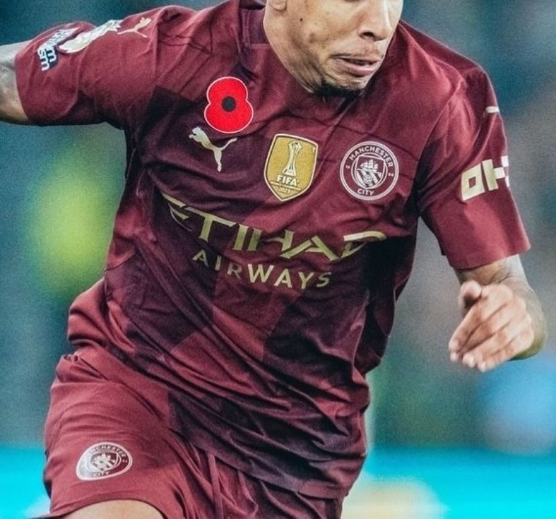 Manchester City 2024-25 Third 3 Kit