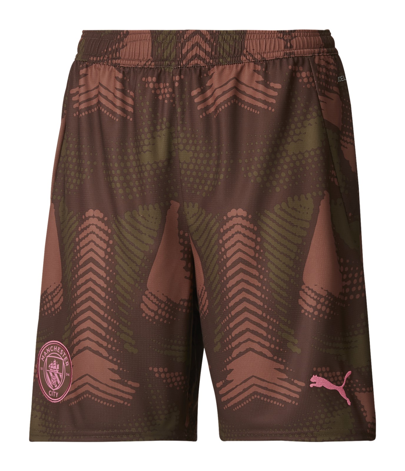 Manchester City 2024-25 GK 1 Kit