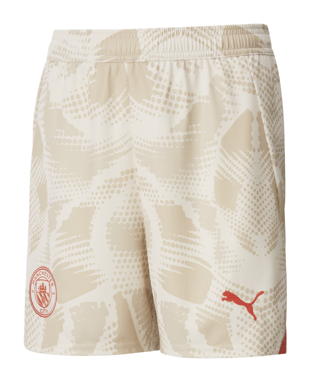 Manchester City 2024-25 GK 3 Kit