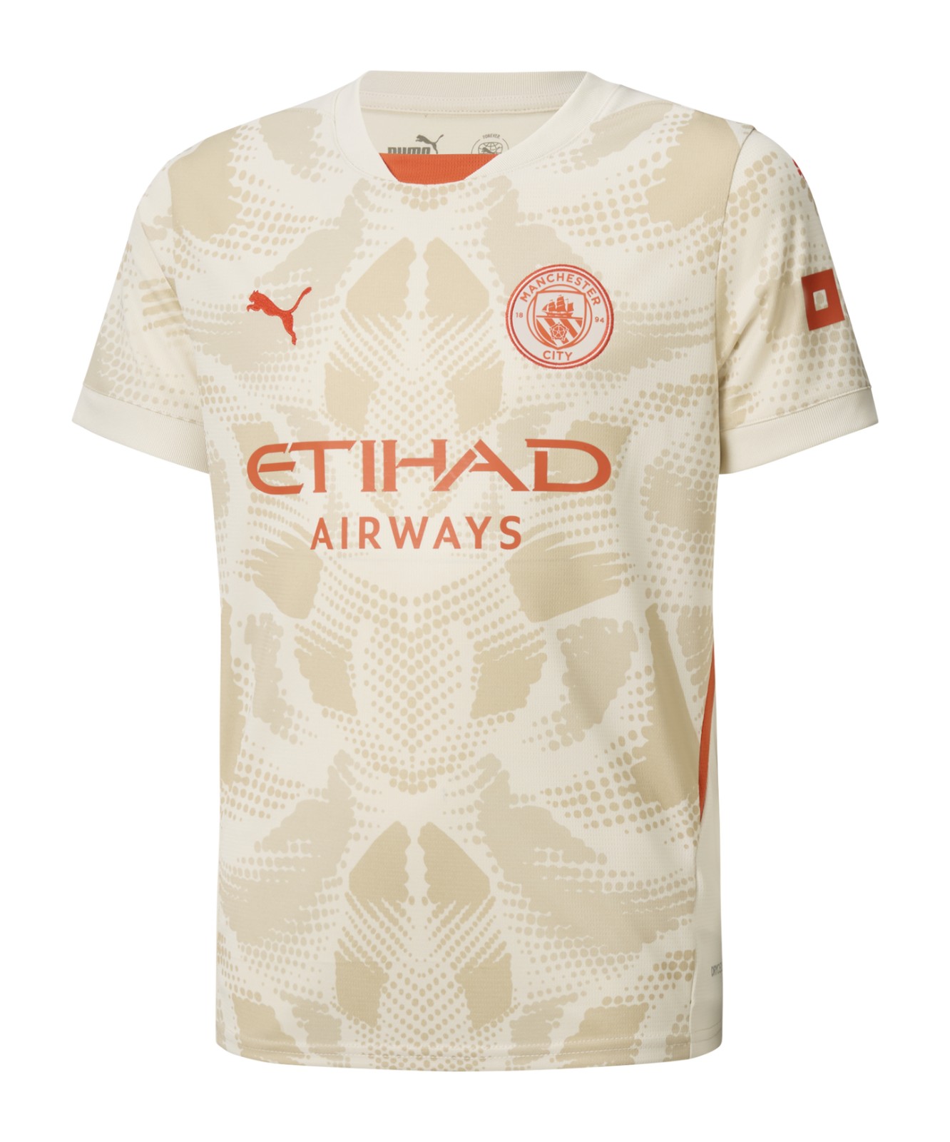 Manchester City 2024-25 GK 3 Kit
