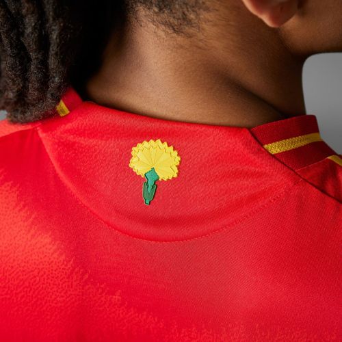 Spain 2024 Home Kit