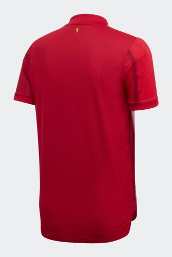 Spain 2020 Home Kit