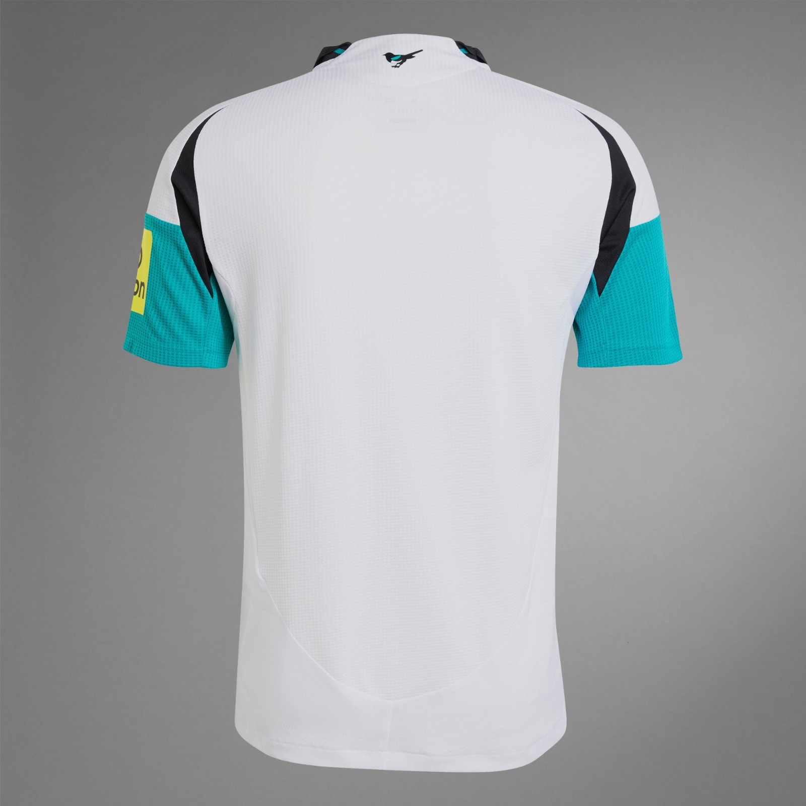 Newcastle United 2024-25 Third Kit