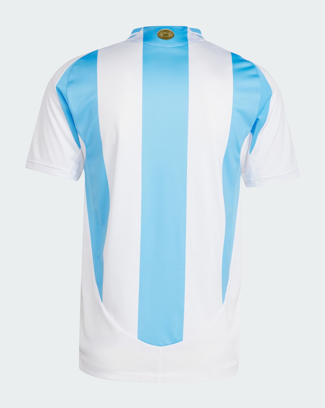 Argentina 2024 Home Kit
