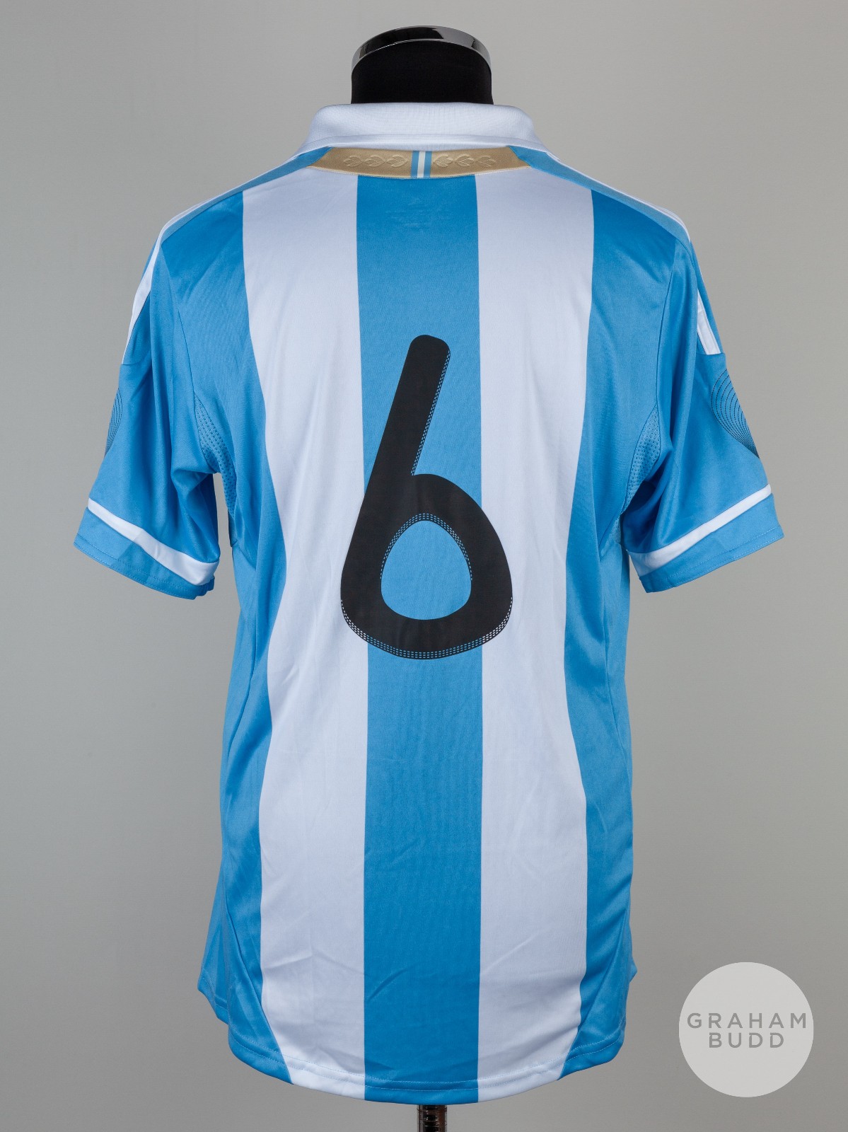 Argentina 2011 Home Kit