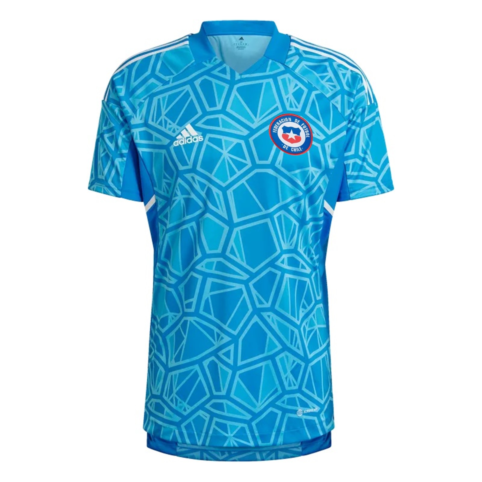 Chile 2022 GK 1 Kit