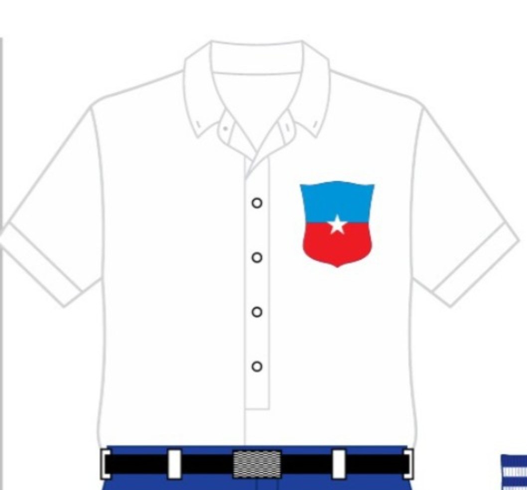 Chile 1919 Home Kit