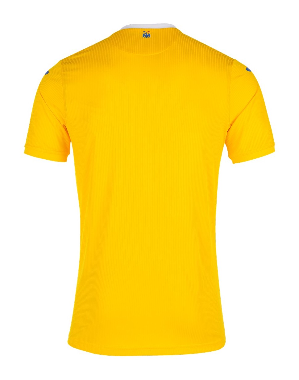 Romania 2021 Home Kit