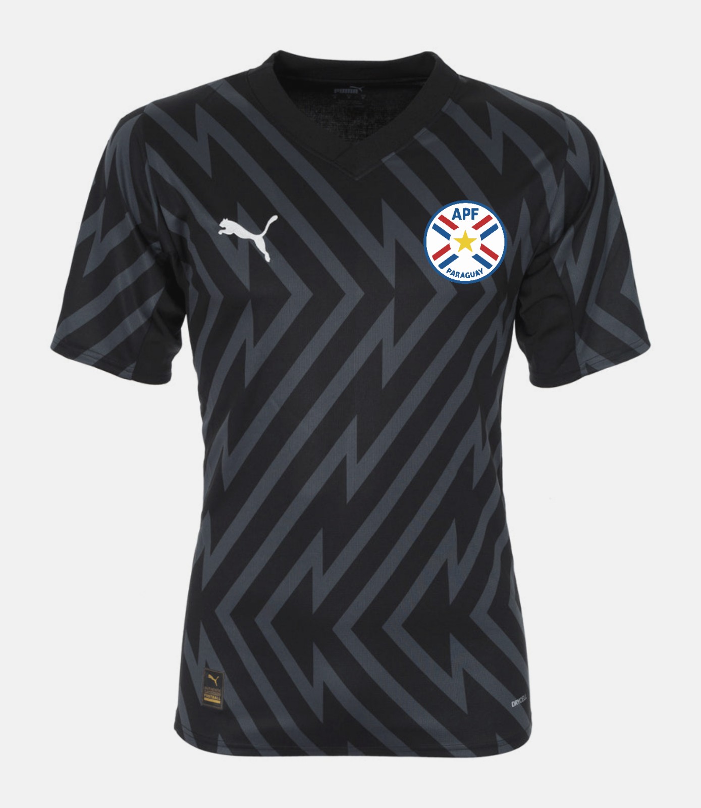 Paraguay 2024 GK 1 Kit