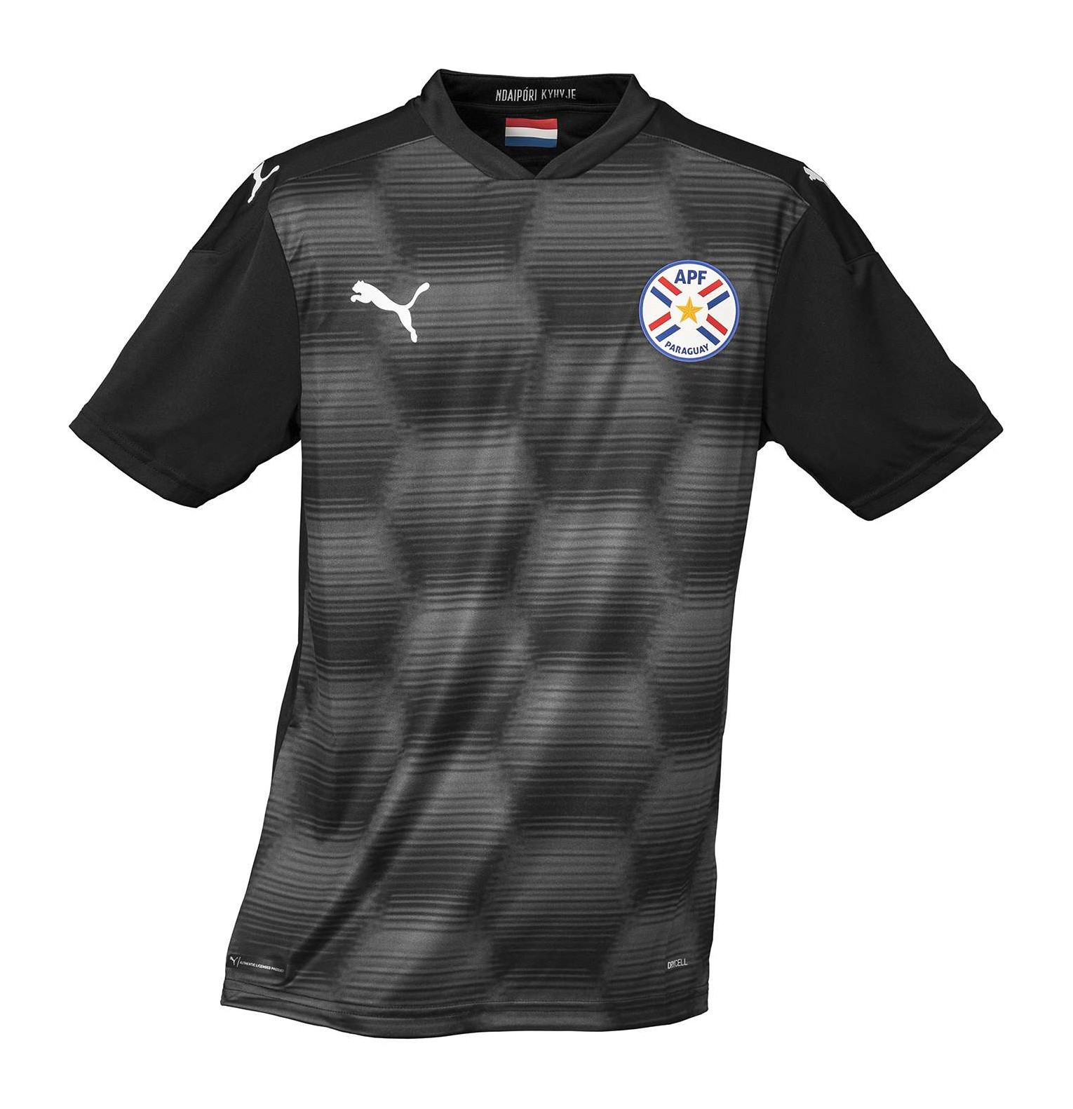 Paraguay 2021 GK 2 Kit