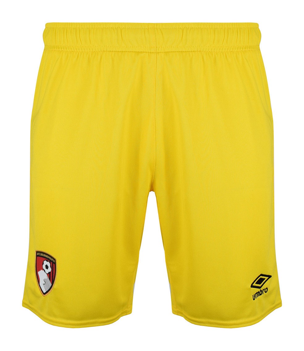 AFC Bournemouth 2024-25 GK Home Kit