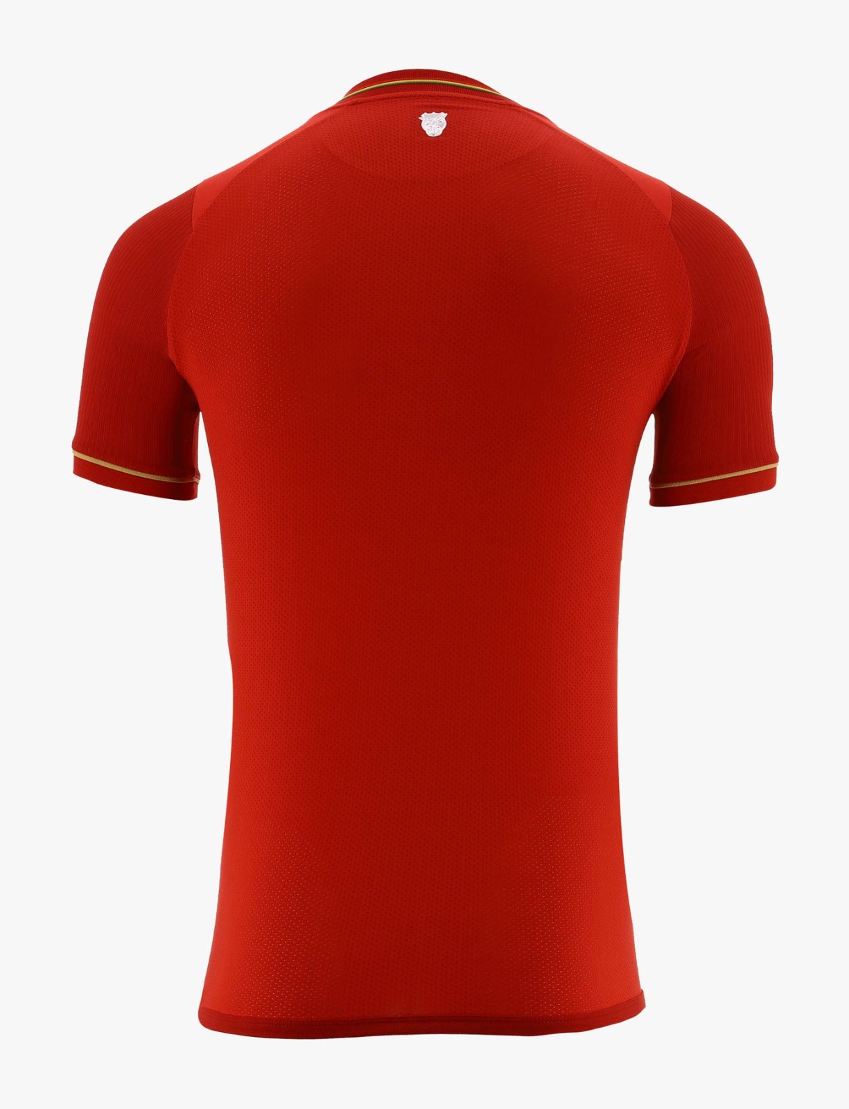 Bolivia 2024 Away Kit