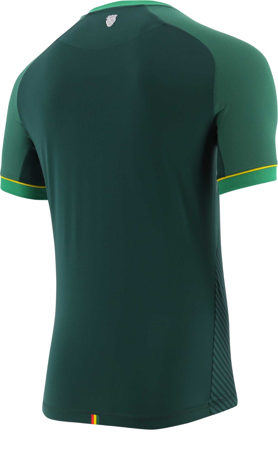 Bolivia 2020 Home Kit