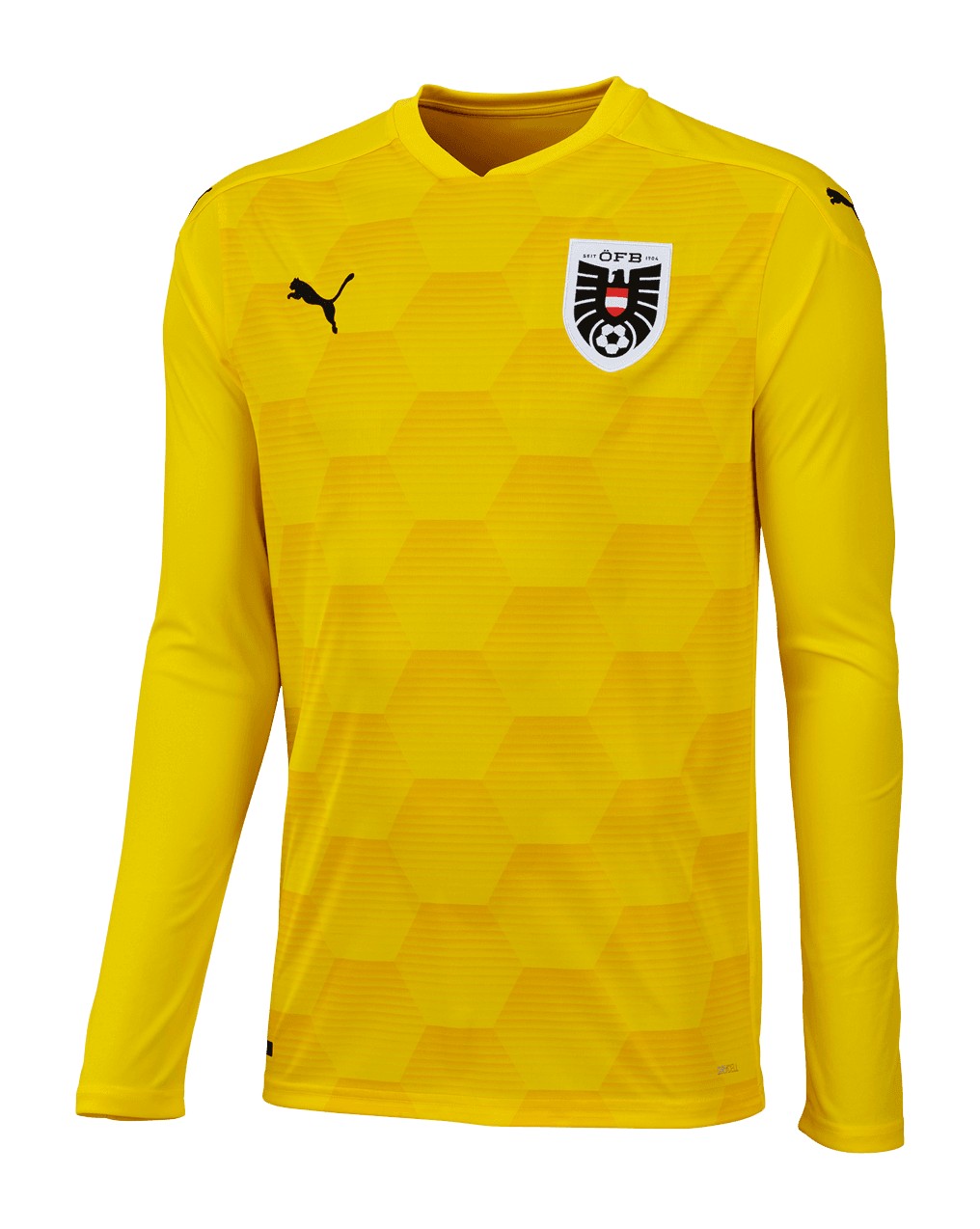 Austria 2020 GK 1 Kit