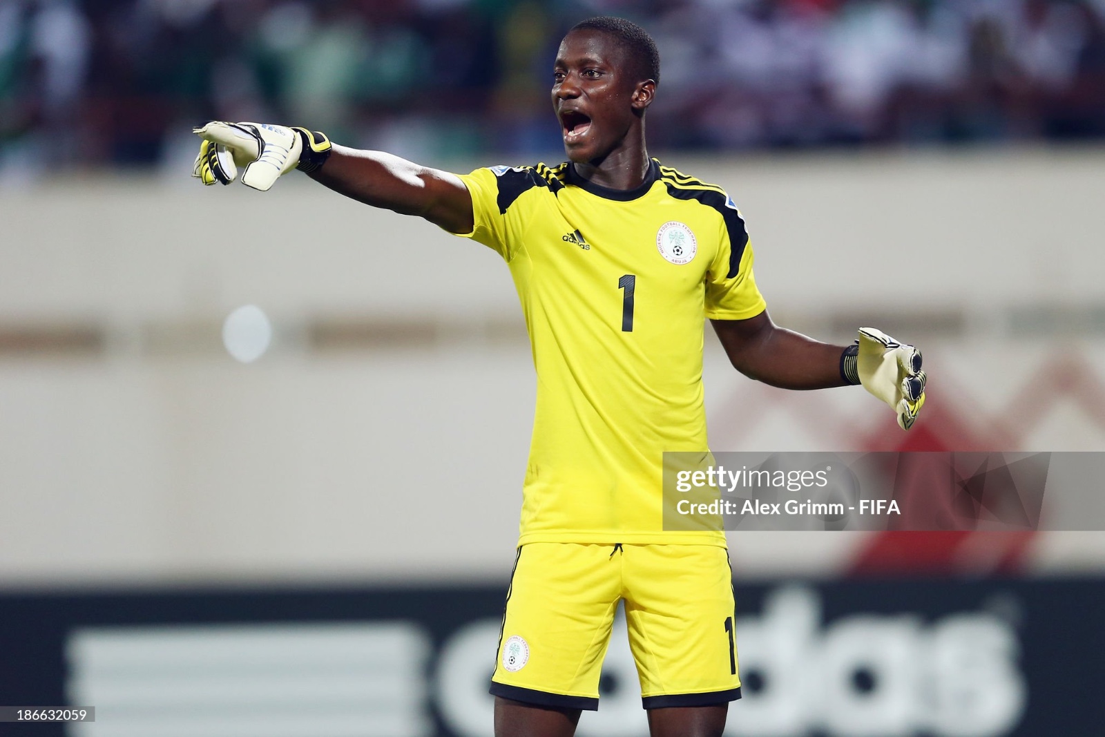 Nigeria 2012 GK 1 Kit