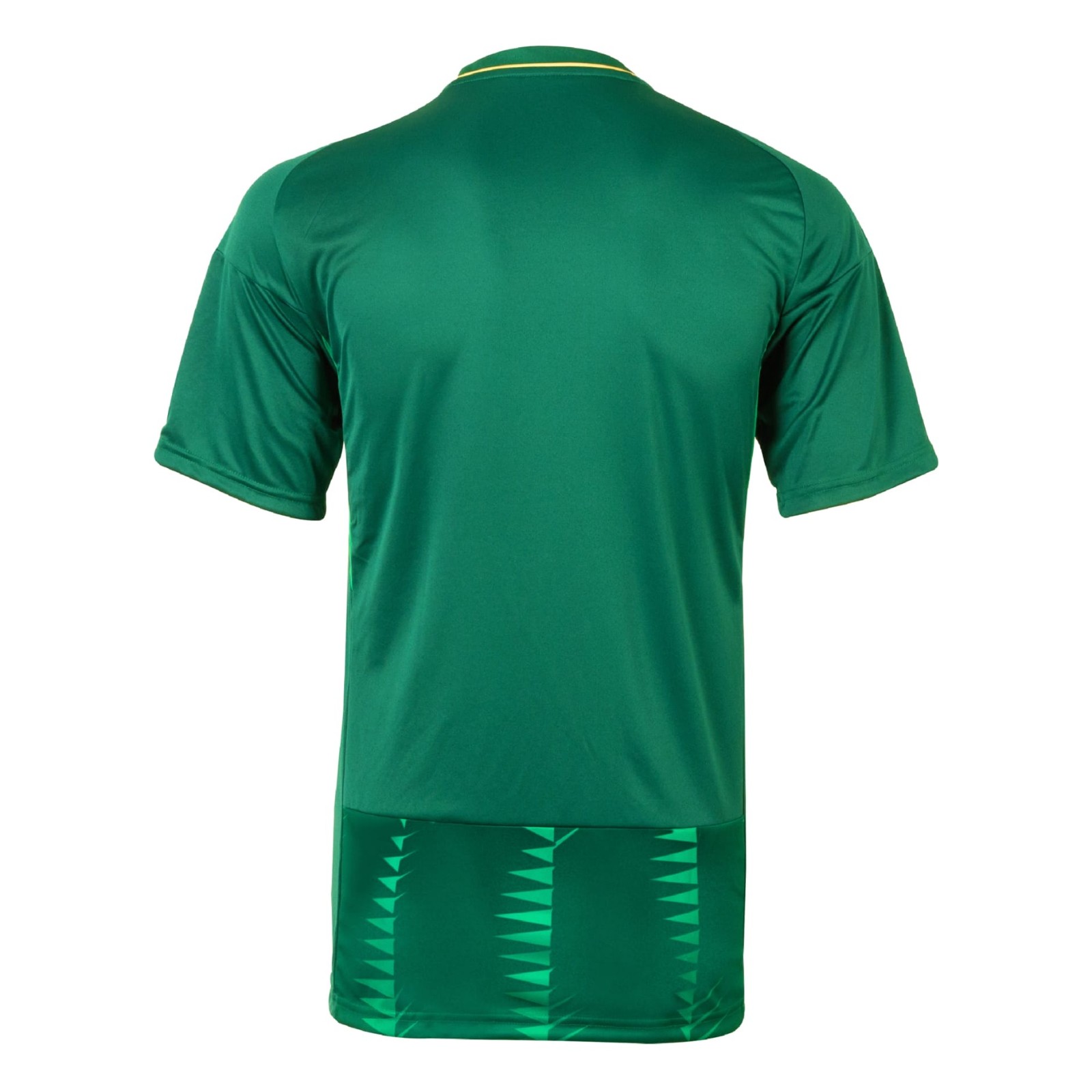 Saudi Arabia 2023 Home Kit