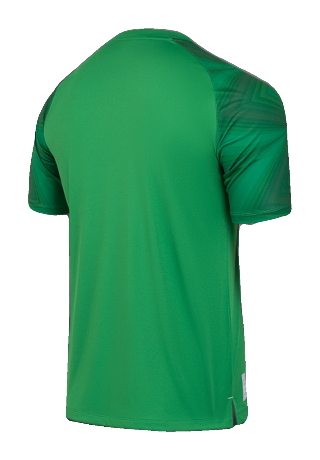Russia 2024 GK 2 Kit