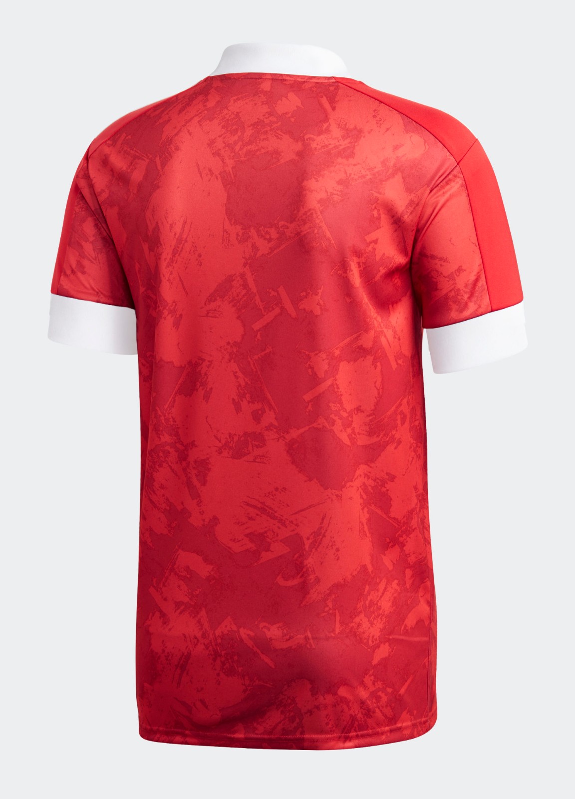 Russia 2020 Home Kit