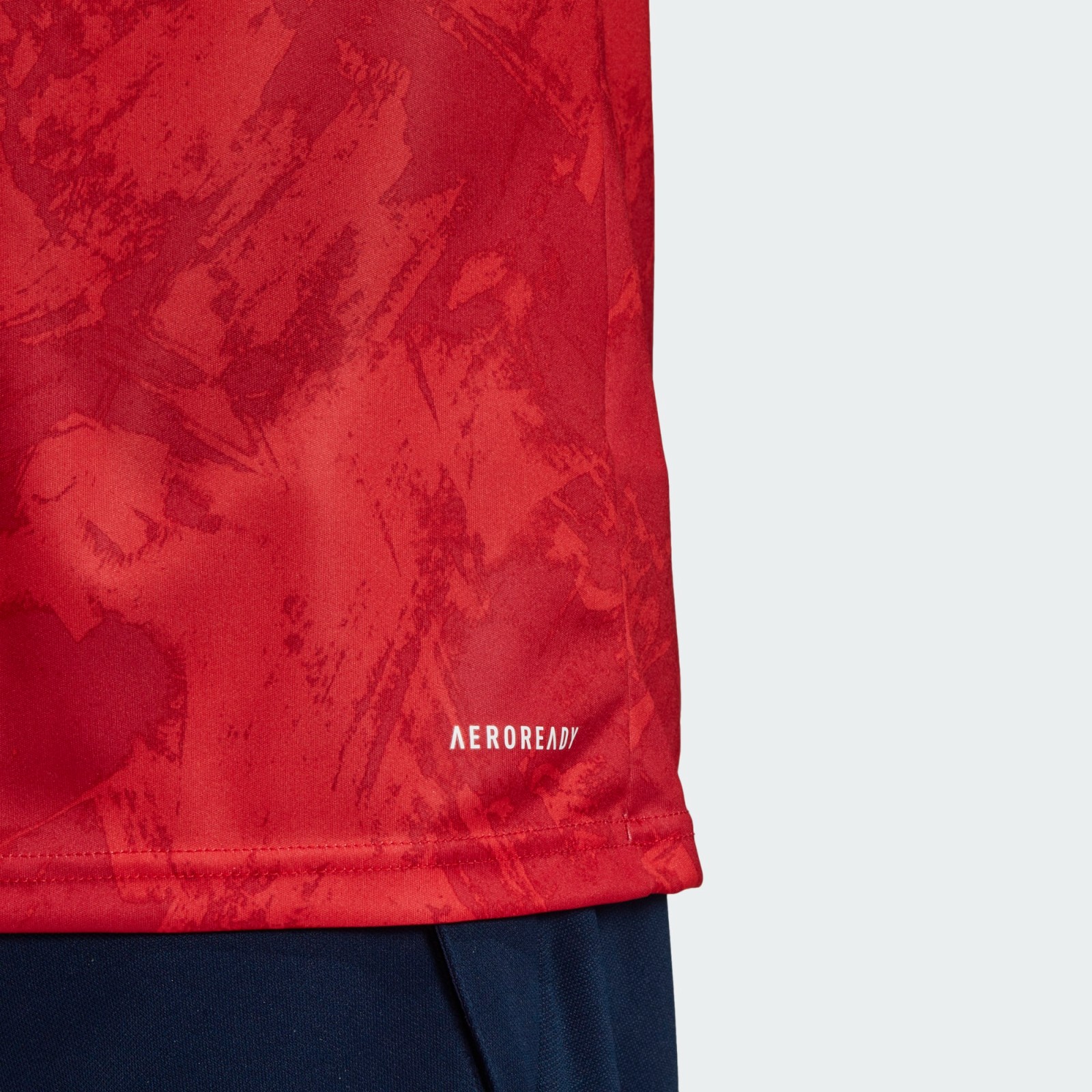 Russia 2020 Home Kit