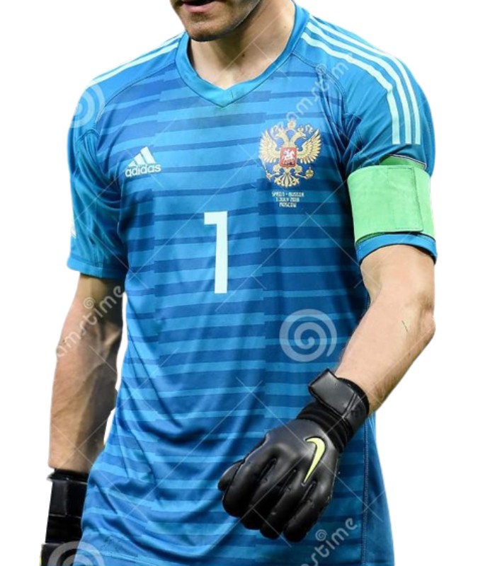 Russia 2018 GK Away Kit