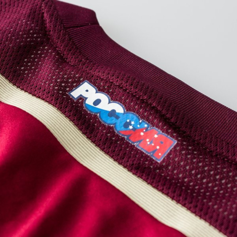 Russia 2014 Home Kit