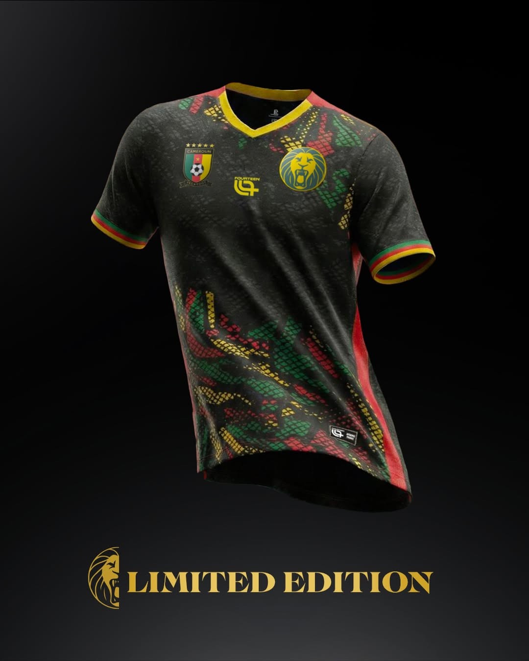 Cameroon 2025-26 Special Kit