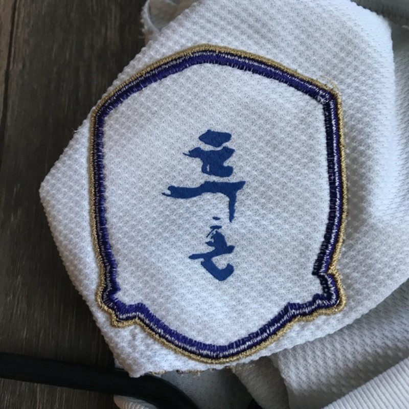 South Korea 2010 Away Kit