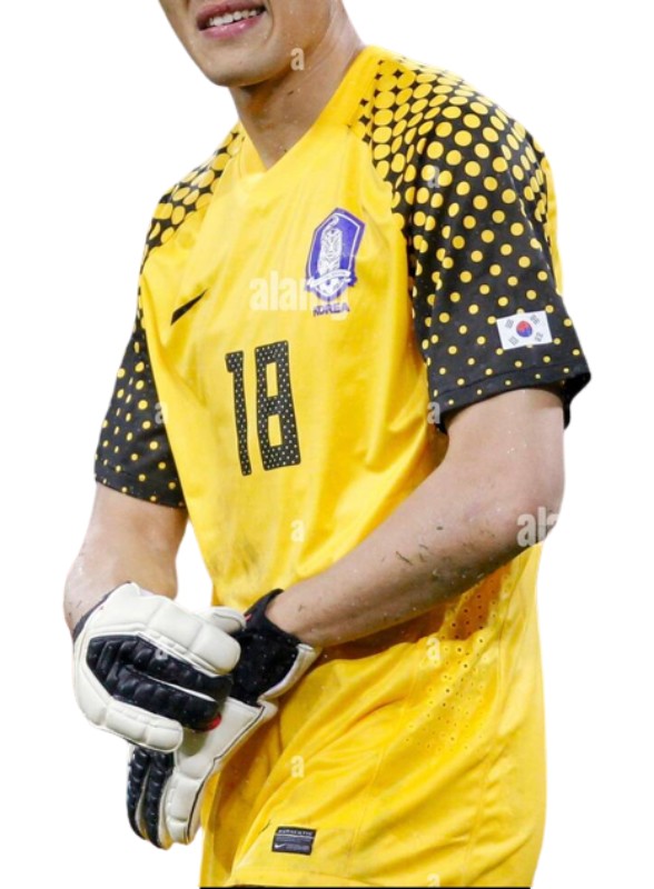 South Korea 2010 GK Away Kit