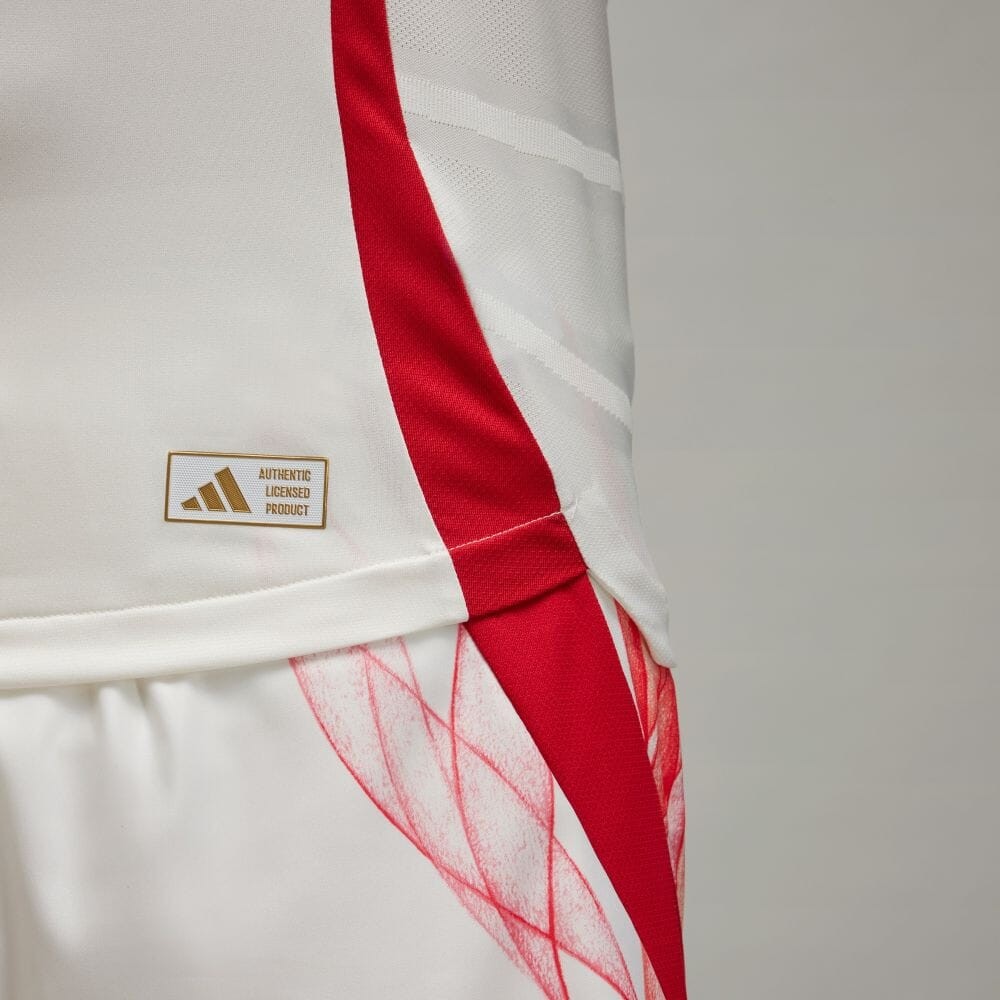 Japan 2024-25 Away Kit
