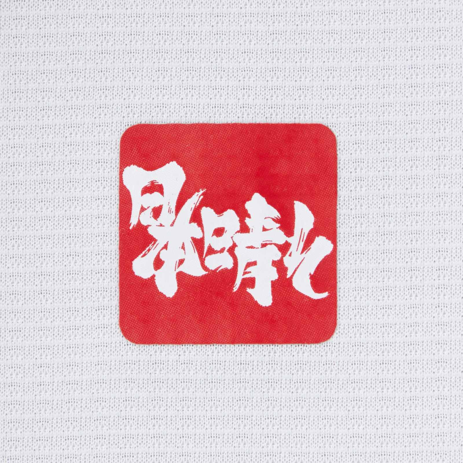 Japan 2020-21 Away Kit