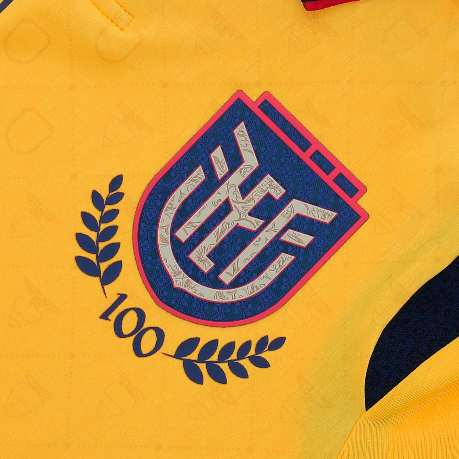 Ecuador 2025 Home Kit