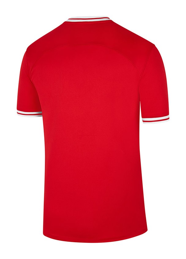 Poland 2022 Away Kit